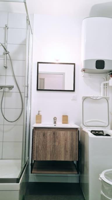 Le Cosy Central Moderne Et Chaleureux แซงต์-เอเตียน ภายนอก รูปภาพ