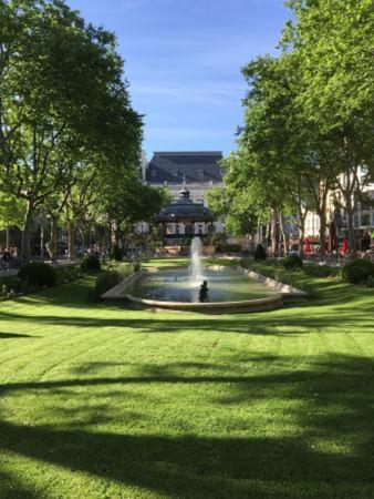 Le Cosy Central Moderne Et Chaleureux แซงต์-เอเตียน ภายนอก รูปภาพ